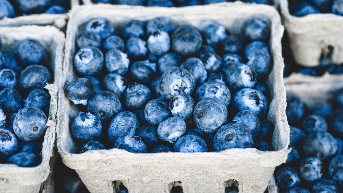 blueberries chatgpt.jpg